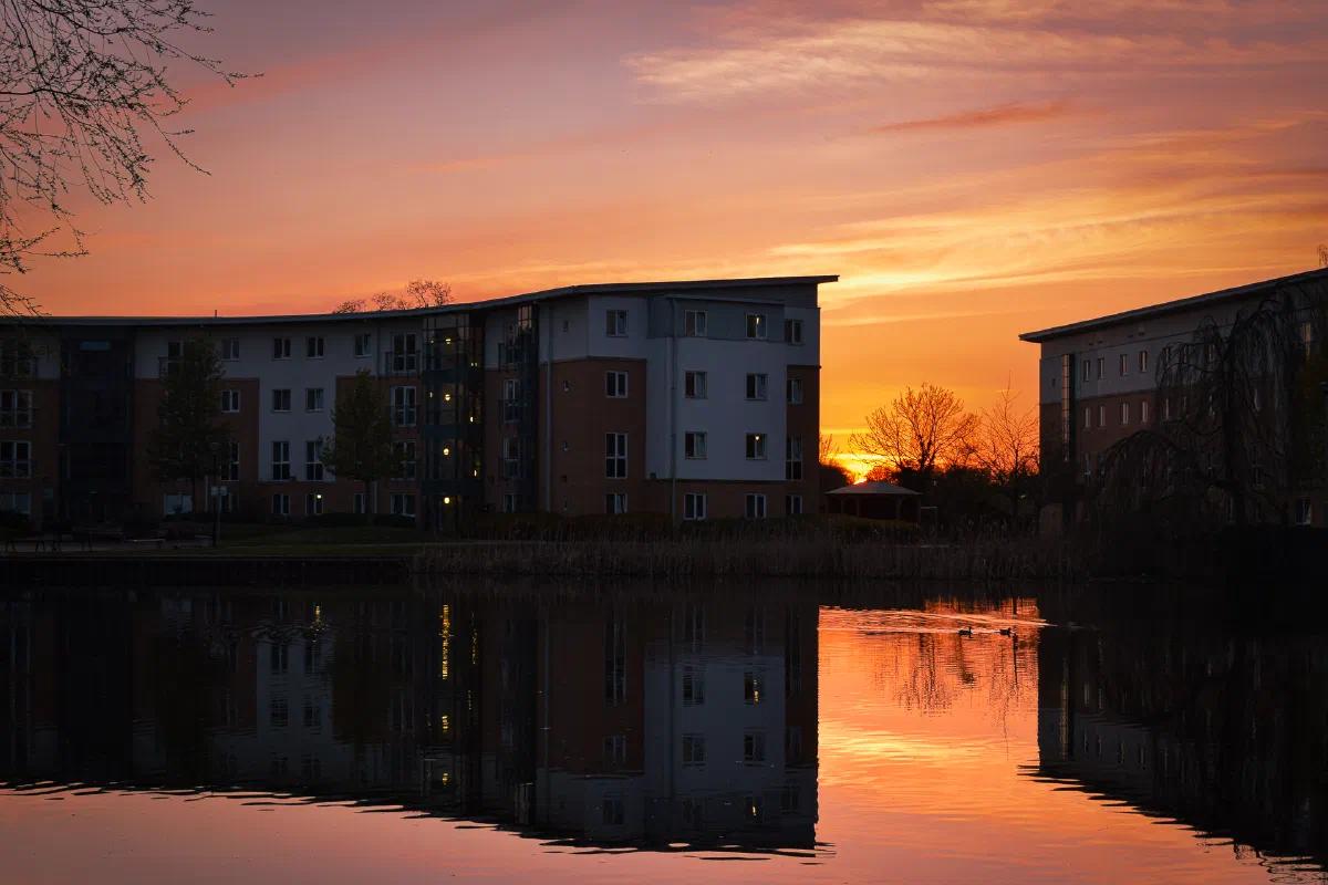 York, 2020